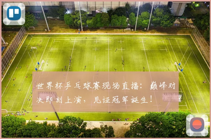 世界杯乒乓球赛现场直播:巅峰对决即刻上演,见证冠军诞生!