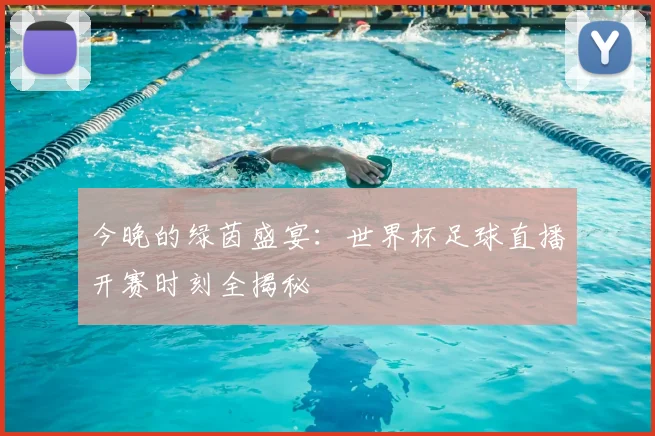 今晚的绿茵盛宴:世界杯足球直播开赛时刻全揭秘